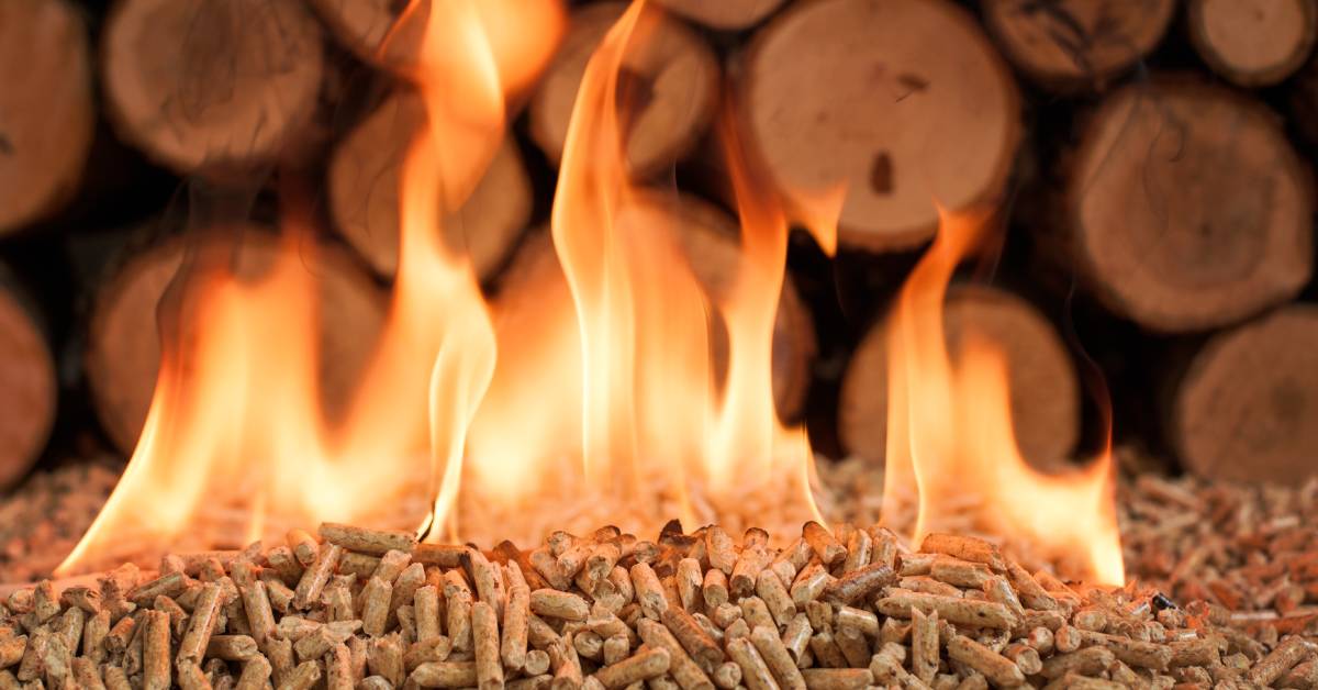 A pile of wood pellets with an orange and red flame burning on top of them. There are logs in the background.