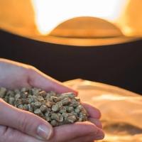 A pair of hands cupped together while holding wood pellets over a bag of pellets in front of a stove.