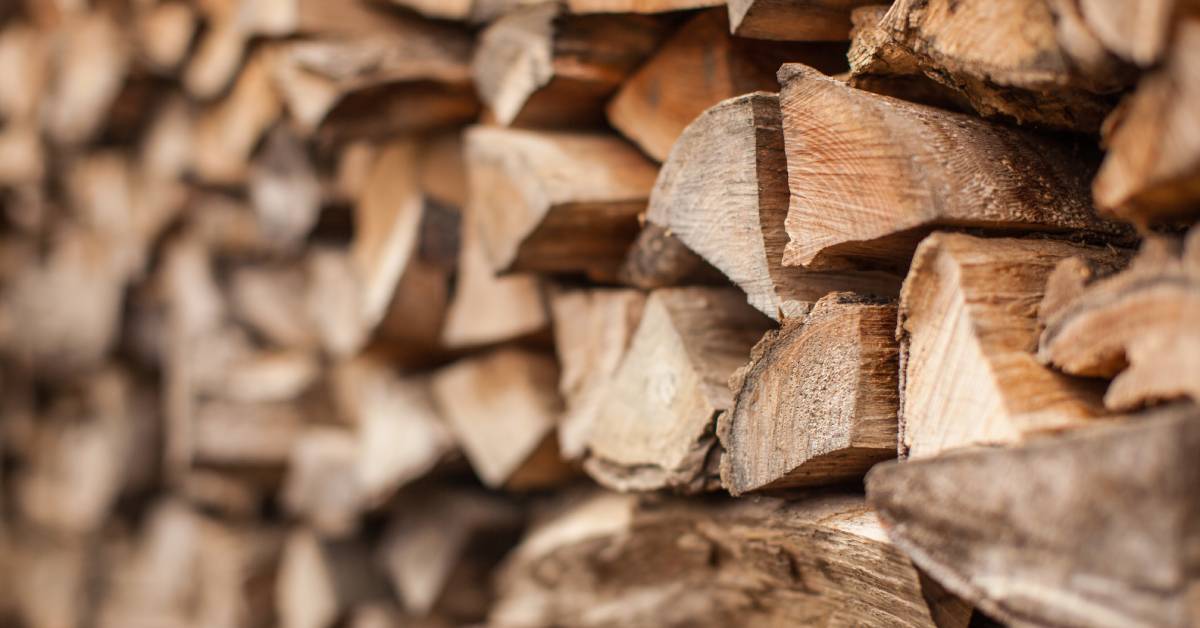 A wall of stacked chopped wood. The logs in the far right of the image are in focus, while the rest are not.